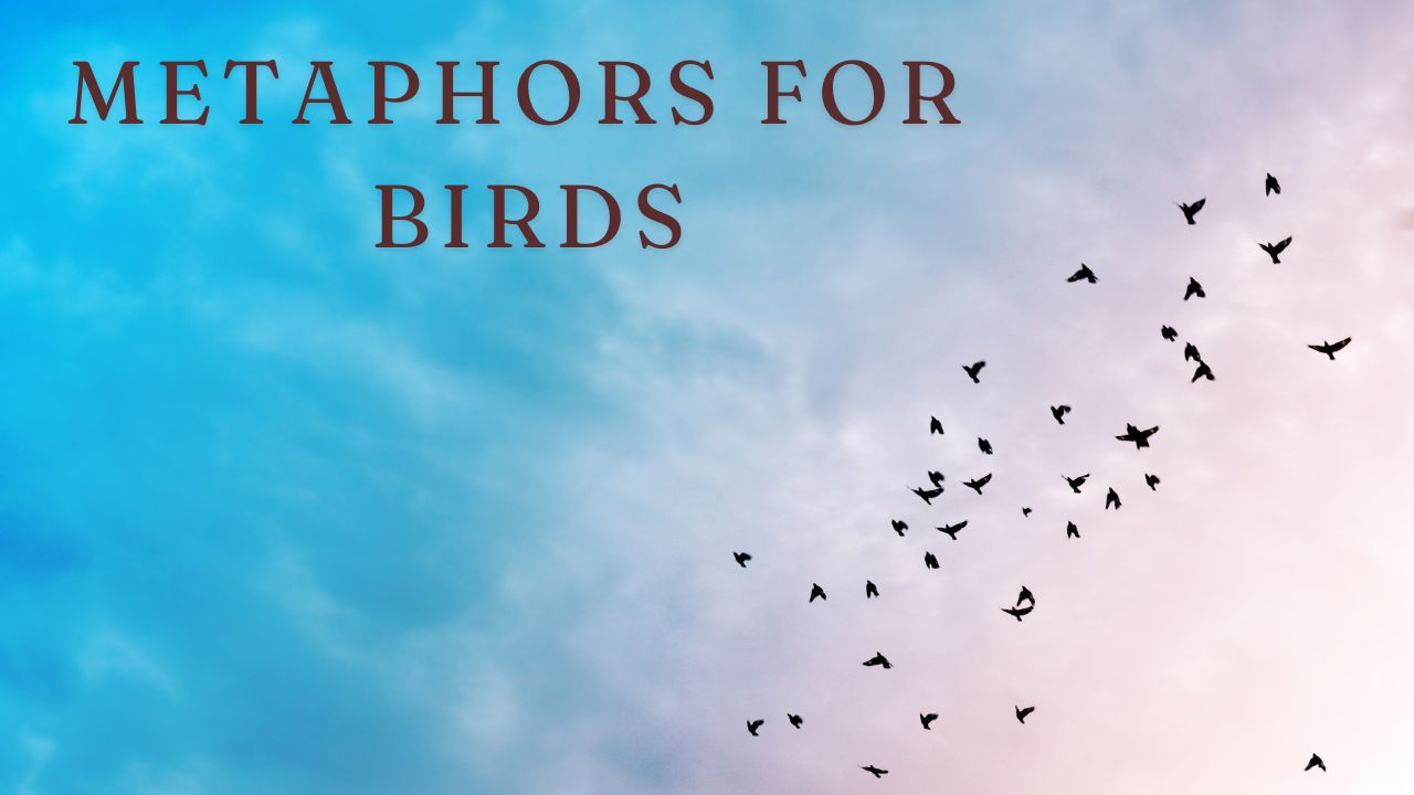 Metaphors For 
Birds